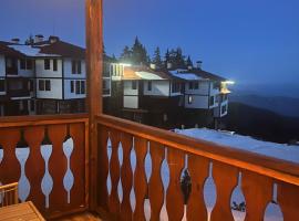 Grand resort luxury apartment, four-star hotel in Pamporovo