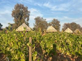Lago Valle Wine Glamping