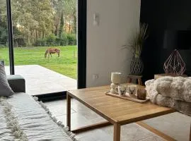 Maison dans les bois