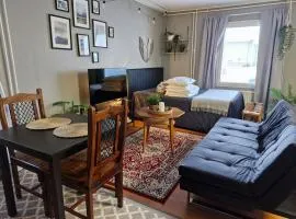 Studio with sauna near highway