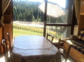 Résidence Les Fayards - Très joli studio spacieux et lumineux PDP MAE-4084, hotel v destinaci Correncon-en-Vercors