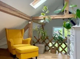 Barn Apartment in an Old Farmhouse near Vaduz