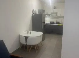 Beautiful apartment near Polanco