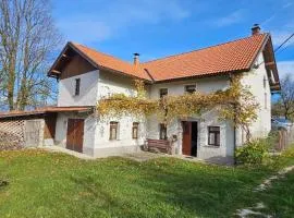 Tolmin Holiday Home