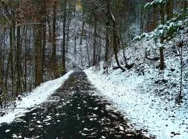 Little Pine Lodge a Smokies Hideaway - 1 mi to GSMNP - King Suite & Loft, Fireplace, Hot Tub & BEARS!