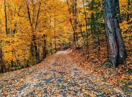 Autumn Retreat - 1 mi to GSMNP - Bears, Pool, Hot Tub, King Suite & Loft
