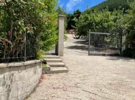 Villetta Indipendente fra i pini della Sila CS