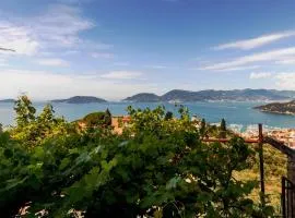 Lerici, La Serra - Il terrazzino di Luca