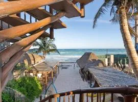 卡内可海滩海滨生态酒店