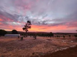 Brodie's Farm