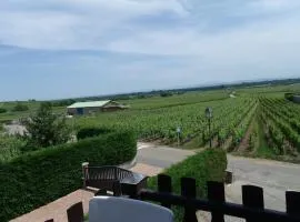 Gite "le vignoble " 2 pers coté vignes