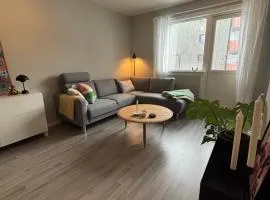 1-bedroom apartment
