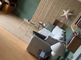 pau appartement
