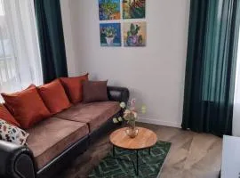 Apartman Na Rohu
