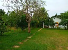 Hideaway Homestay Habarana