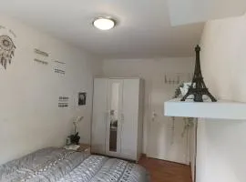 Habitación en apartamento compartido