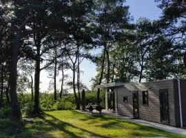 casa bosrust