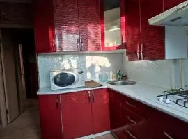 Apartment - Panasa Myrnoho 20