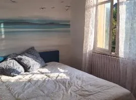 Chambre Océan, parking gratuit et jardin