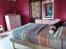 Sweetsop Jamaica Villa and Tour