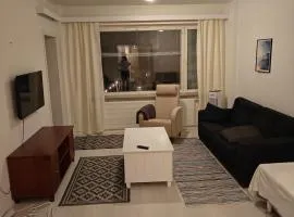 Renovated handy spacious 3 room apartment for tourists, workers and students
