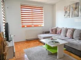 Apartman FROG