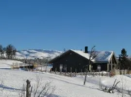 Hygglige Fjellhytte