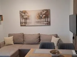 Lawa Apartments Kopaonik