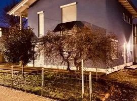 TheBlue Oak Apartments