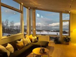 Spektakulær villa nært sentrum og Prestvannet