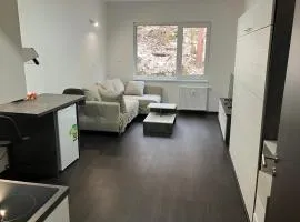 Apartmán Nelinka u Klínovce