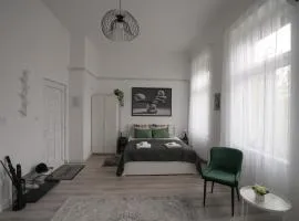 Beautiful newly refurbished studio,fully equipped apartment walking distance to the City Park where you will find the world famous Szechenyi thermal bath spa, Museums , and the Capital Circus , AC, smart TV, high speed internet