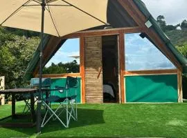 JUNGLAMP-Conexión con la naturaleza
