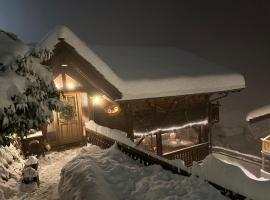 Chalet Rayon de Soleil Gryon Villars, hotel v destinaci Gryon