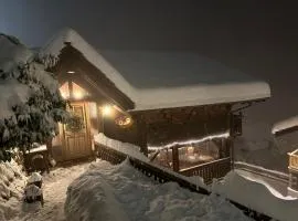 Chalet Rayon de Soleil Gryon Villars