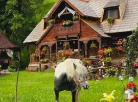 Pensiunea Rustic Oncesti