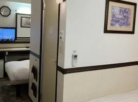 Toyoko Inn Kintetsu Nara Ekimae