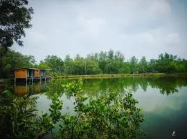 Calm at Bangphat
