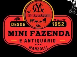 Mini Fazenda e Antiquário Manzolli