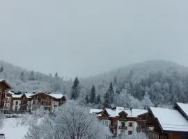 Bakuriani Didveli Residence