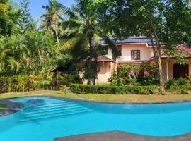 King Coconut Lodge