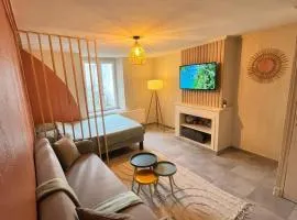 Appartement rénové et confortable idéalement situé
