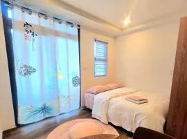 Liam and Linus Condo 2 Studio Type