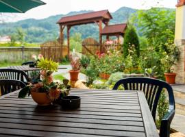 Pension Agnes, hotel in Vişeu de Sus