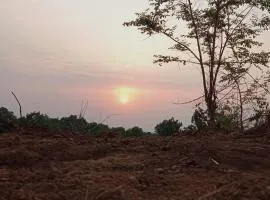 Entire Private Farm on Rent 2 Acre with 3 Room, it's Kittu's Farm