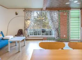 Gapyeong Monami spa pension