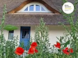 Reetsnacker - Ferienhaus mit Kamin, Sauna und Whirpool für 8 Personen