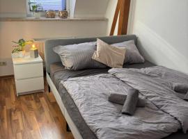 komfortable Ferienwohnung am Stadtwald von Plauen