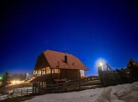 Vikendica Rile