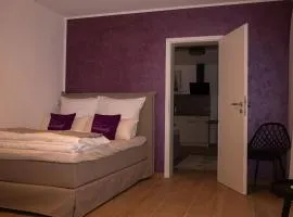 Mein Träumchen Apartements- 3 Lila stillvoll und zentral für bis zu 4 Personen
